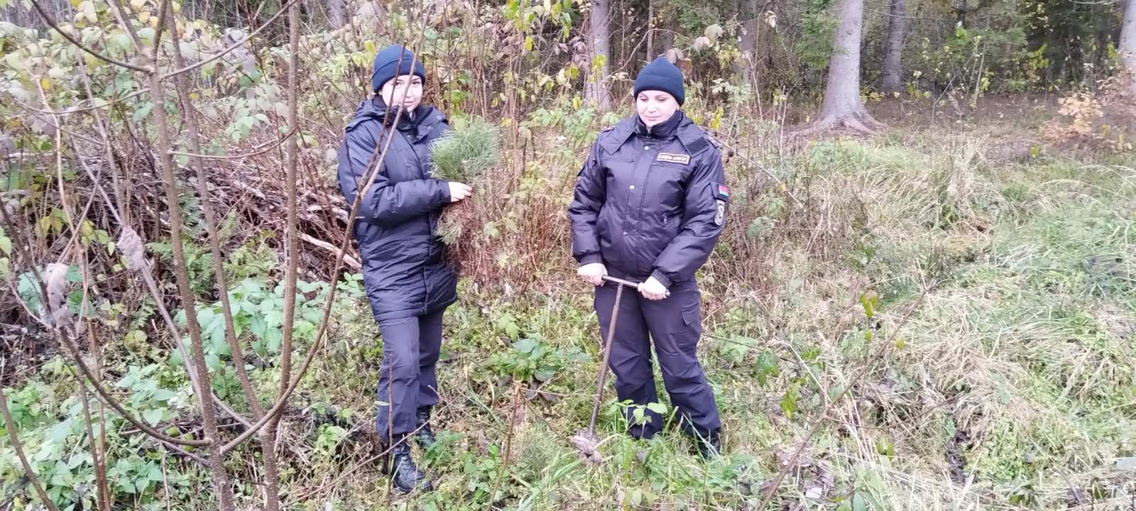 В добровольной общественной акции «Дай лесу новае жыццё!» принял участие Россонский районный отдел Следственного комитета Республики Беларусь.