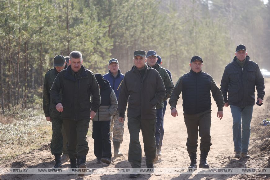 Навести порядок в общем доме. Вольфович об акции 