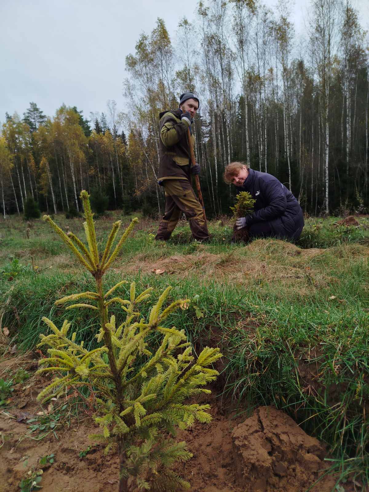 Работниками Россонского лесхоза на территории Якубовского лесничества в рамках добровольной акции 