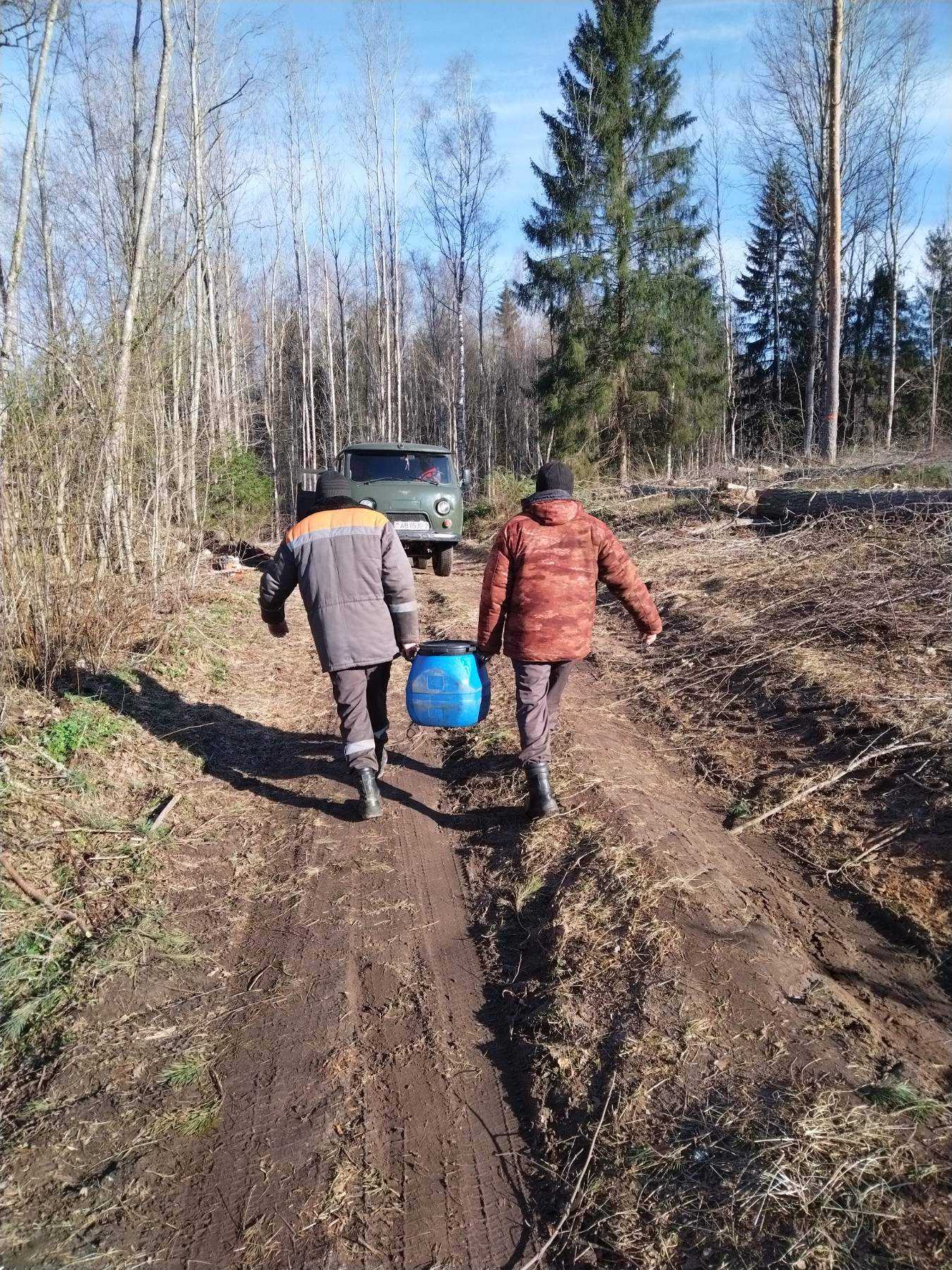 Успейте приобрести березовый сок!