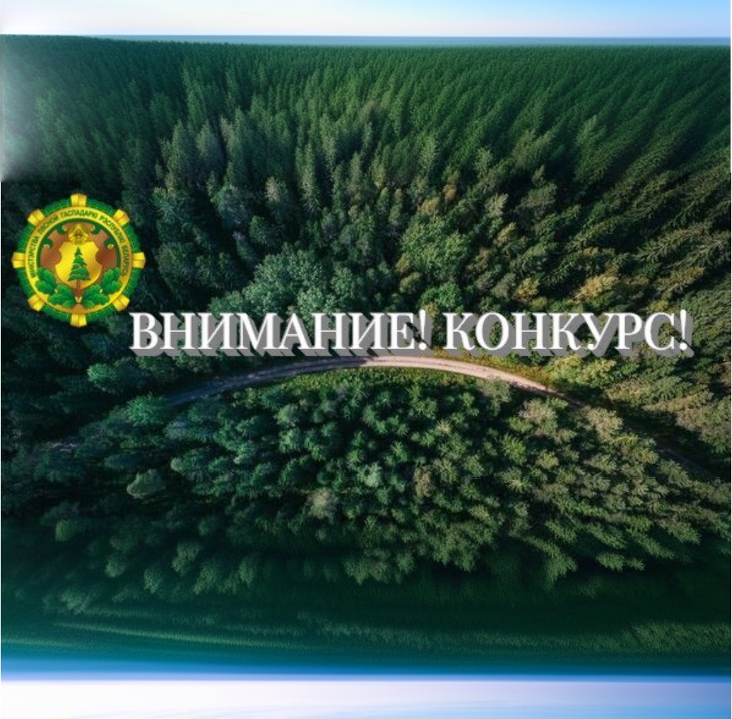 ВНИМАНИЕ! КОНКУРС!