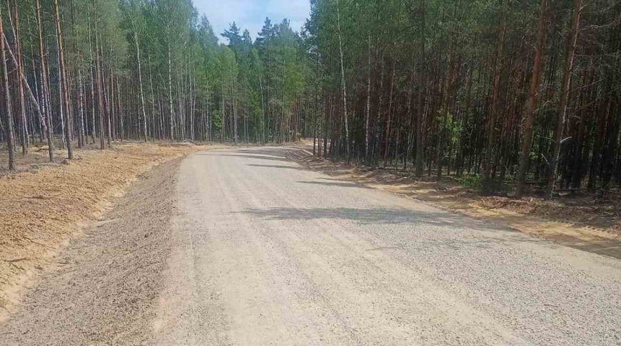 Организации Минлесхоза в 2023 году построили больше 100 км лесохозяйственных дорог