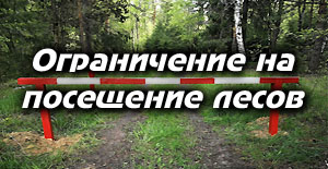Ограничение на посещение лесов.