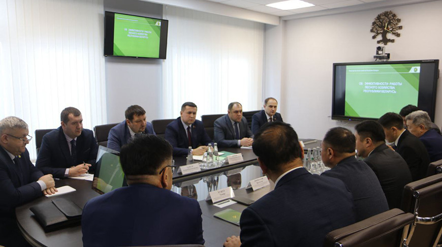 Монголия заинтересована в изучении белорусского опыта ведения лесного хозяйства