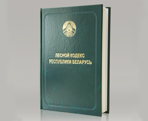 Обновленный Лесной кодекс вступит в силу в январе 2024 г. - Президент подписал соответствующий Закон