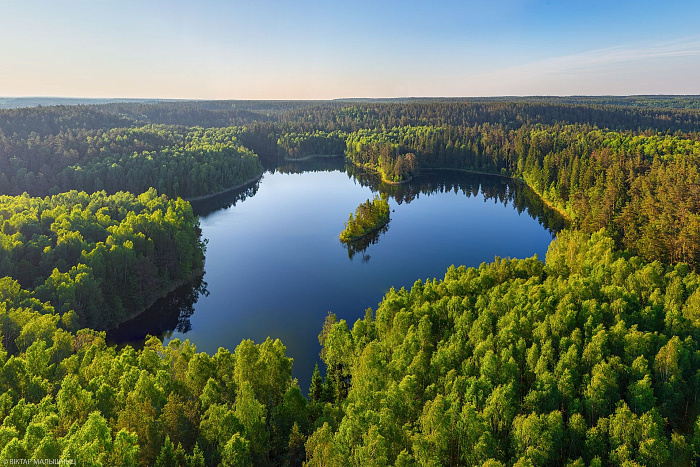 Лукашенко: в Беларуси создана надежная система охраны диких животных, лесных и рыболовных угодий