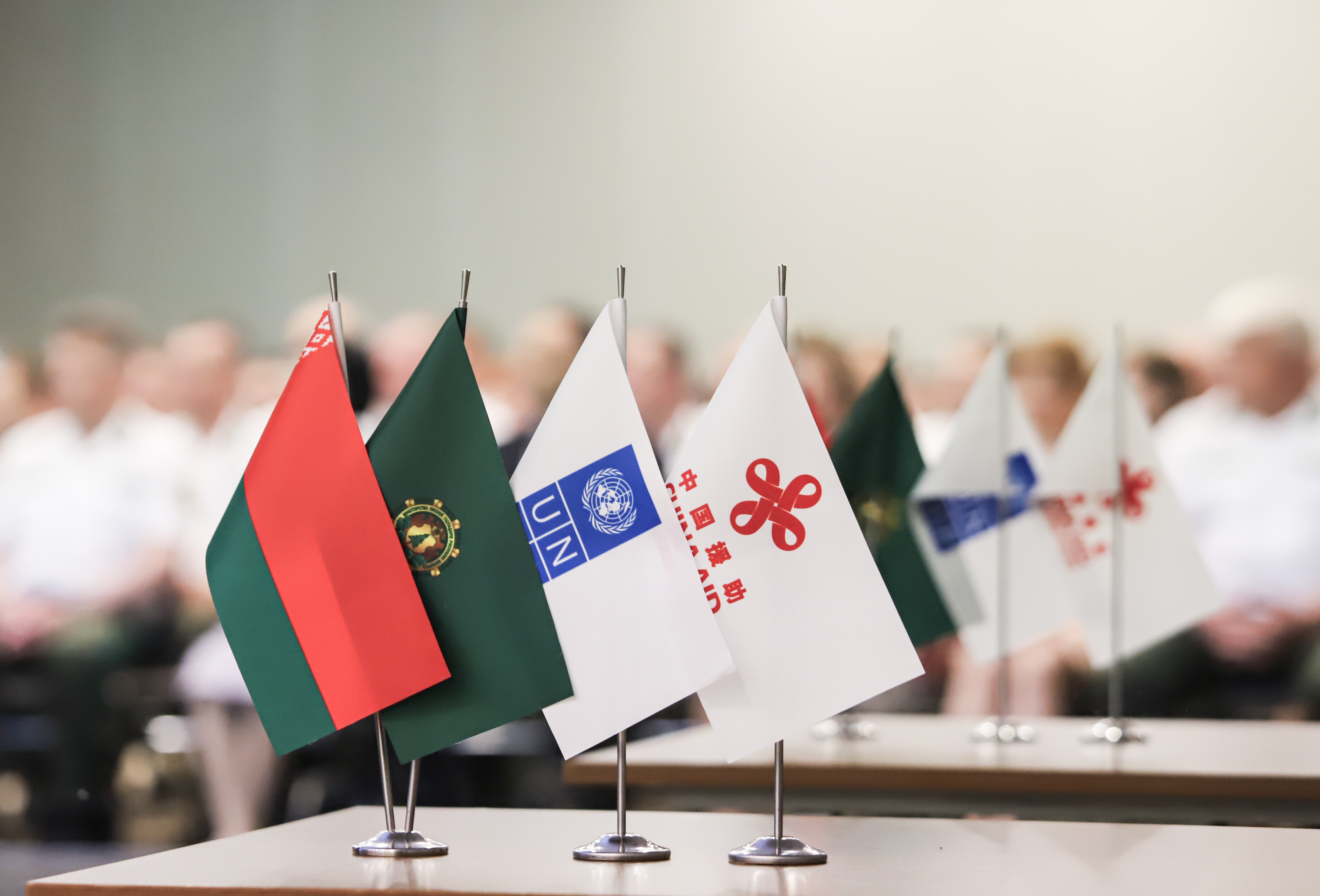 Китай направит $2 млн на закупку средств для тушения лесных пожаров в Беларуси