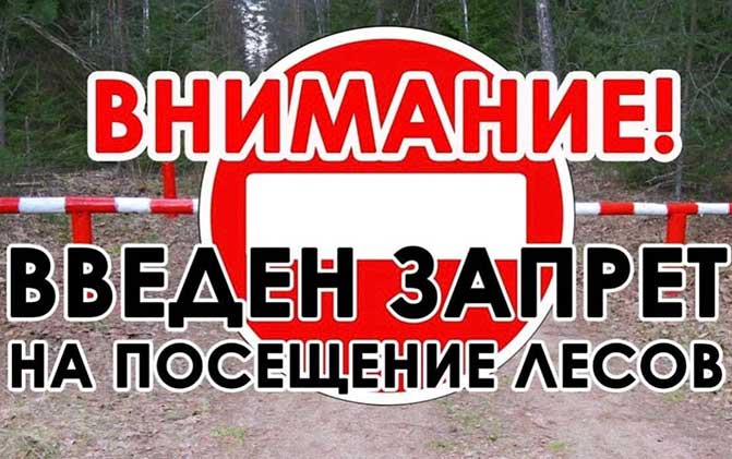 В лес по прежнему нельзя!