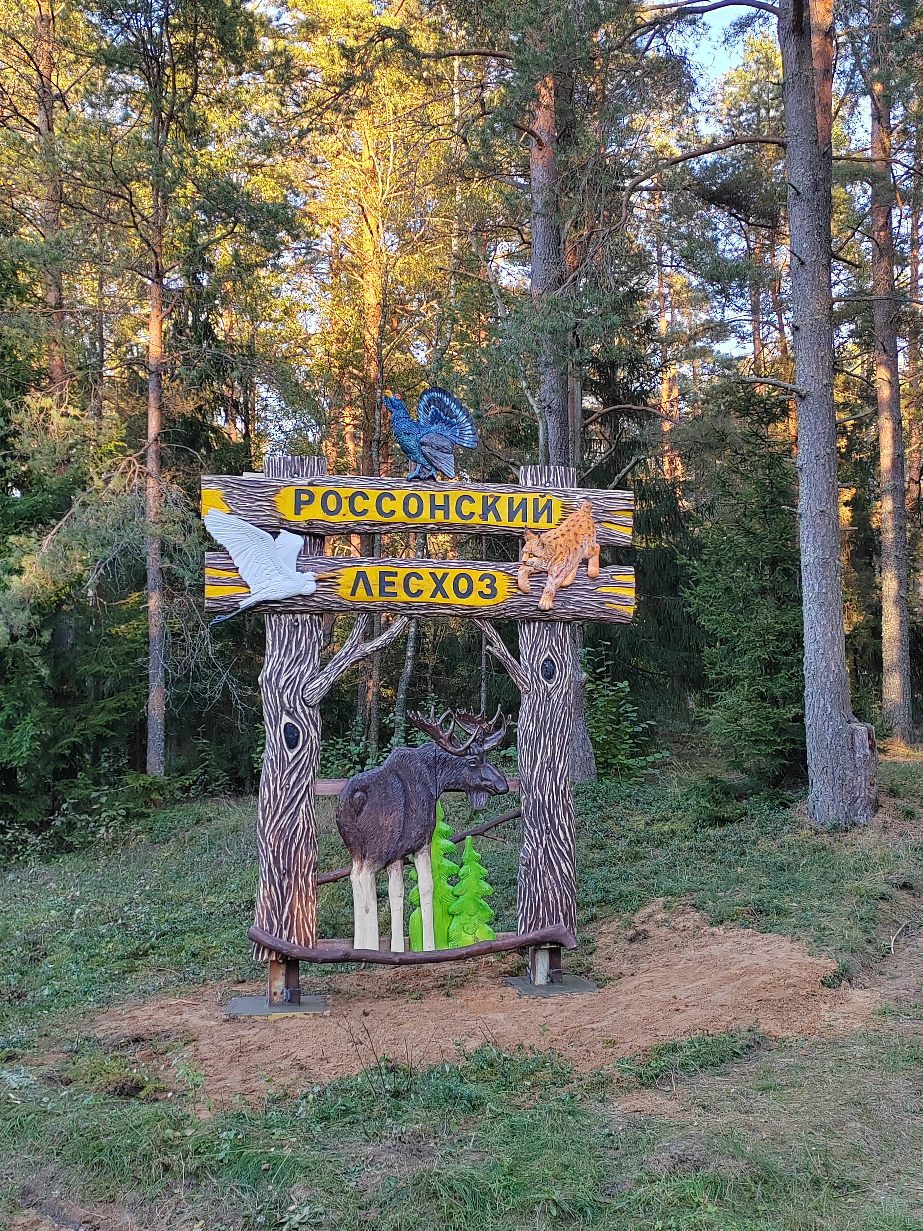 В Год благоустройства — новый арт-объект от Россонского лесхоза!