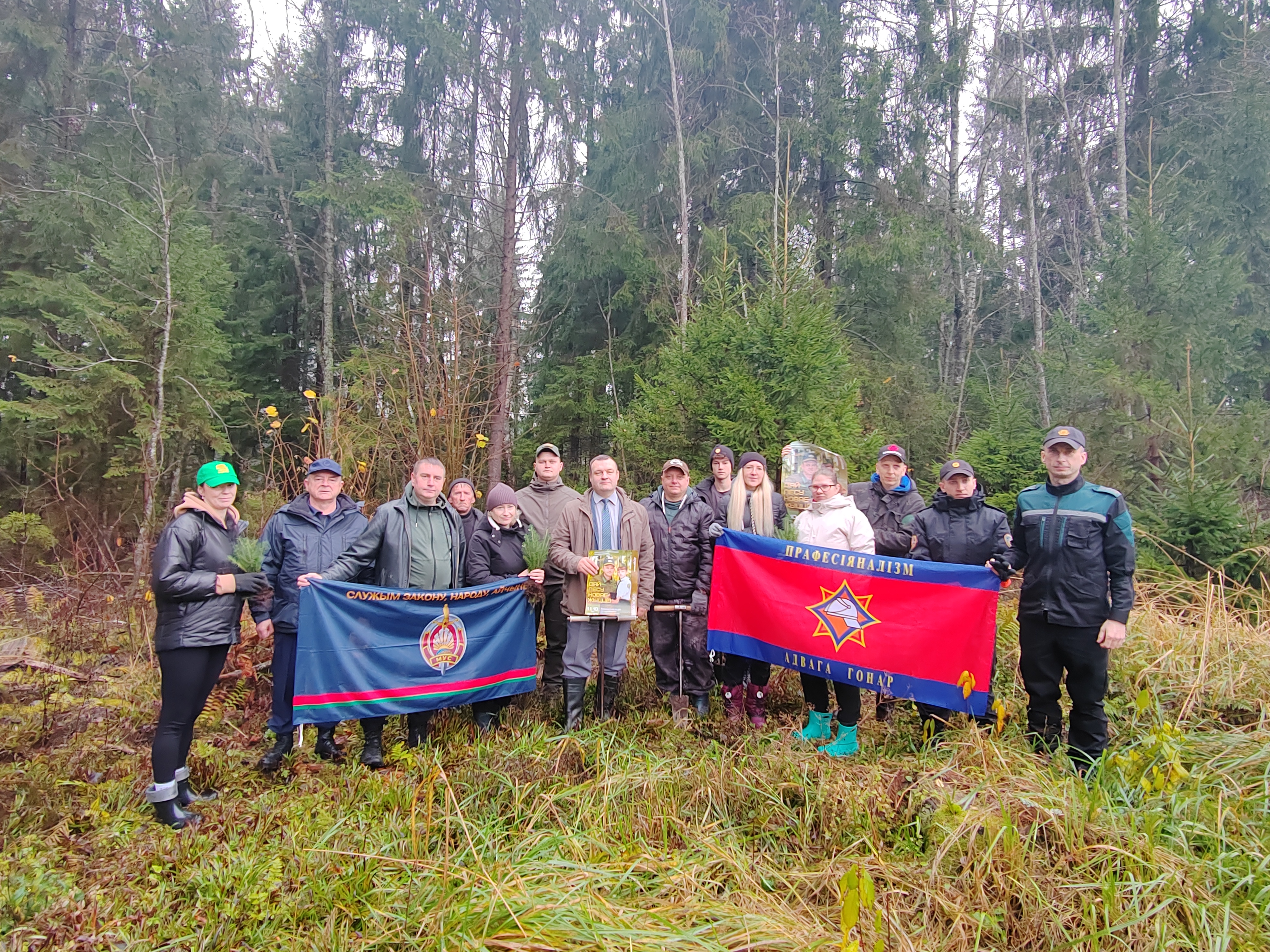 Акция по восстановлению лесных насаждений «Дай лесу новае жыцце», ставшая уже доброй традицией в Россонском районе, подошла  к своему завершению.