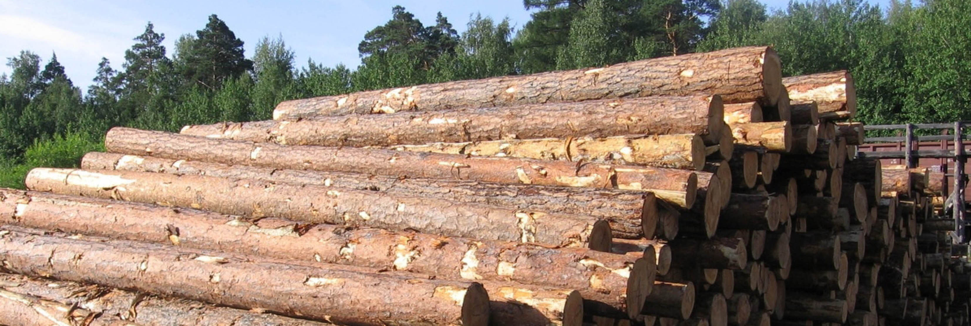 Спрос на древесину увеличился