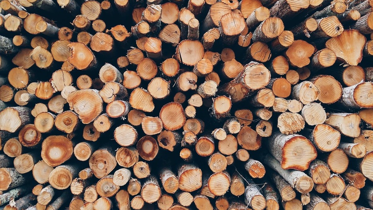 Россонский лесхоз реализует дрова населению
