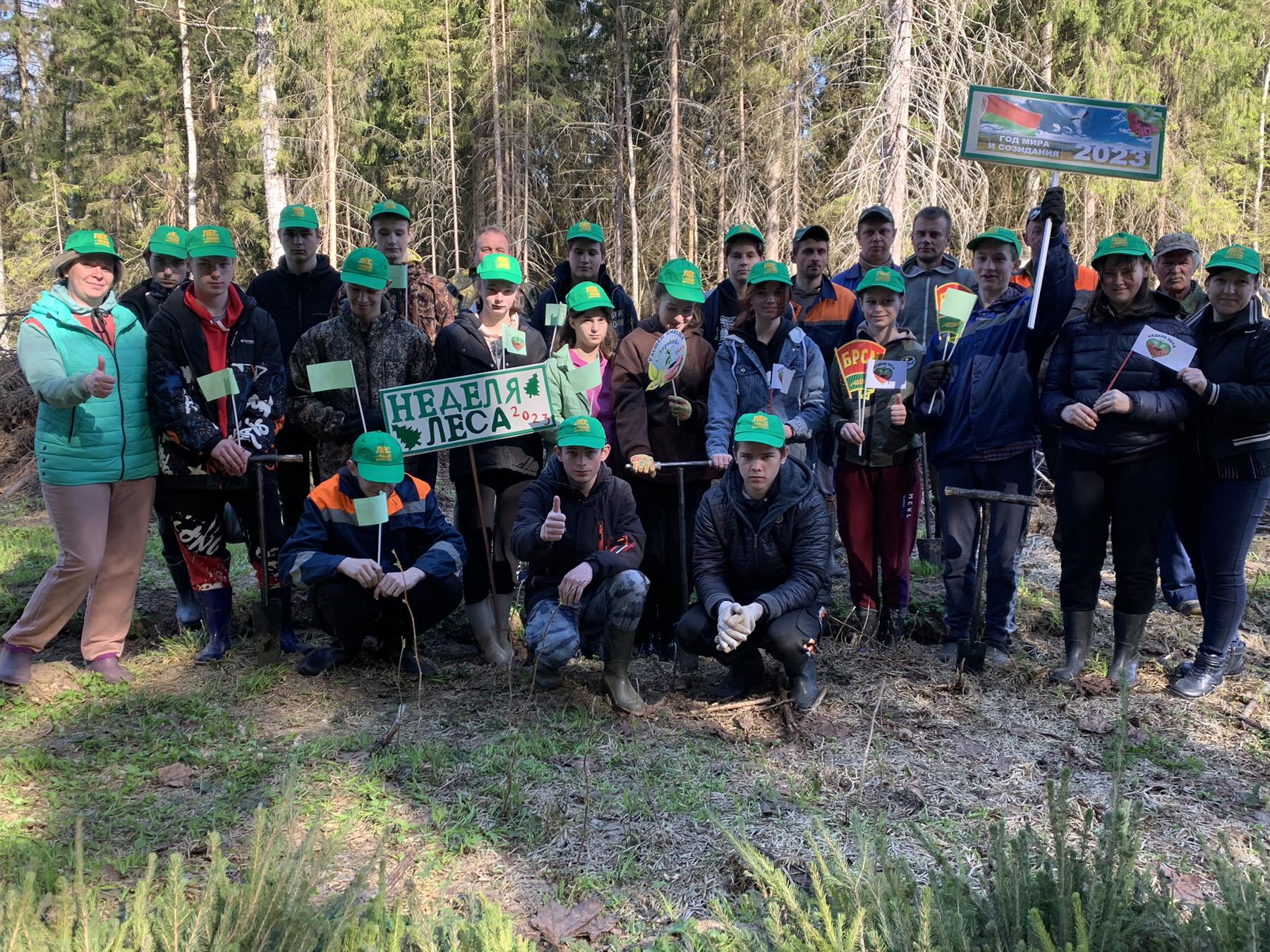 Учащиеся Клястицкой школы присоединились к добровольной акции «Неделя леса – 2023»